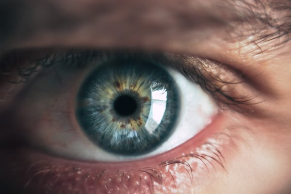adult-blue-blue-eyes-865711