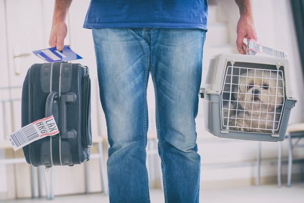 pet carrier dog travel