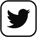 twitter icon